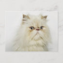 Recherche de perse cartes postales Mignon