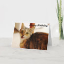 Recherche de la birmanie vœux cartes Chat