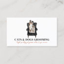 Recherche de noir et blanc chat cartes visite Assise