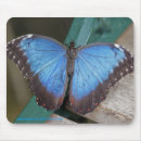 Recherche de papillon bleu morpho tapis souris Papillons