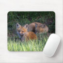 Zoek naar animals muismatten Vossen