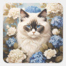 Zoek naar ragdoll kat stickers Feliene