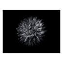 Recherche de beauté unique posters Fleurs