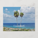 Recherche de cozumel Tropical