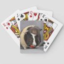 Recherche de cobaye jeux de cartes Porc