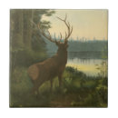 Recherche de cerfs communs carreaux Loge