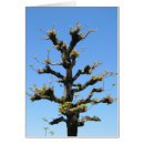Recherche de arbre isolé Ciel