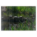 Recherche de tortue planches à découper Vert