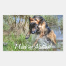 Recherche de alsacien autocollants Dog