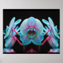 Recherche de orchidée tropicale posters Pour elle