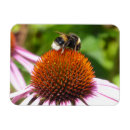 Recherche de abeilles magnets Bourdon