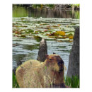 Recherche de educatif posters Animaux