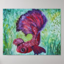 Recherche de bêtas poissons posters Poisson bêta
