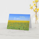 Recherche de tournesols vœux cartes Champ de tournesols