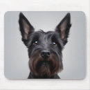 Recherche de scottish terrier tapis souris Animal