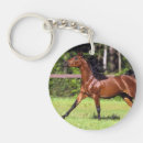 Zoek naar paarden sleutelhangers Arabisch