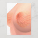 Zoek naar vergroting briefkaarten Illustratie