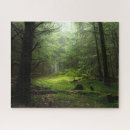 Recherche de forêts puzzles Bois