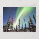 Recherche de denali vœux cartes Paysage