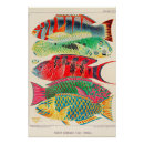 Recherche de biologie marine posters Illustration