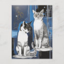 Zoek naar twee katten briefkaarten Kattenliefhebbers