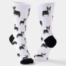Recherche de corgi chaussettes Pembroke