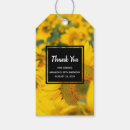 Zoek naar wilde bloemen fotografie Natuur