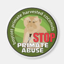 Recherche de monkey le magnets Primates