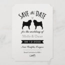 Recherche de carlins invitations Animaux