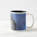 Recherche de le zimbabwe tasses Faune