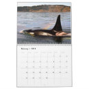 Recherche de baleine calendriers Orque