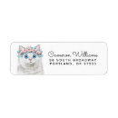Recherche de chat assez blanc Yeux bleus
