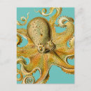 Recherche de poulpe vintage cartes postales Octopi