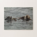 Recherche de loutres puzzles Loutre de mer