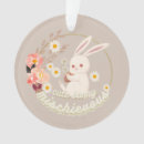 Zoek naar grappig konijn ornamenten Bunny