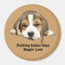 Recherche de chien beagle magnets Chiots
