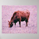 Recherche de cow photographie Vache
