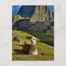 Recherche de montagnes des andes cartes postales Machu picchu