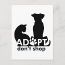 Recherche de bien être cartes postales Chat