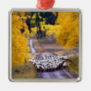 Recherche de moutons ornements Pays