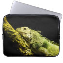 Recherche de originale ordinateurs portables protections Photographie