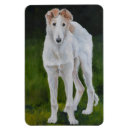 Recherche de chien loup magnets Chiot