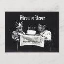 Zoek naar katten miauw kaarten Vintage