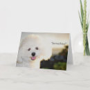 Recherche de le dites vœux cartes Dog