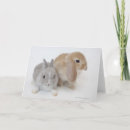 Recherche de deux lapins vœux cartes Mignon