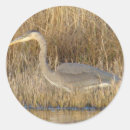 Zoek naar reiger stickers Natuurfotografie