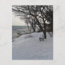 Recherche de banc cartes postales Hiver