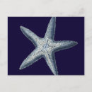 Recherche de indigo cartes postales Coquille marine