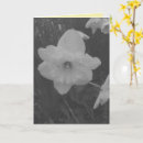 Recherche de jaune et noir vœux cartes Blanc