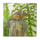 Recherche de poteaux carreaux Pour tous